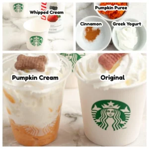 “Infographic showing ingredients used in a Puppuccino”