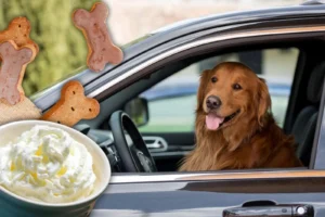 “Happy dog enjoying a Puppuccino in the passenger seat at a drive-thru”
