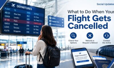 What to Do When Your Flight Gets Cancelled